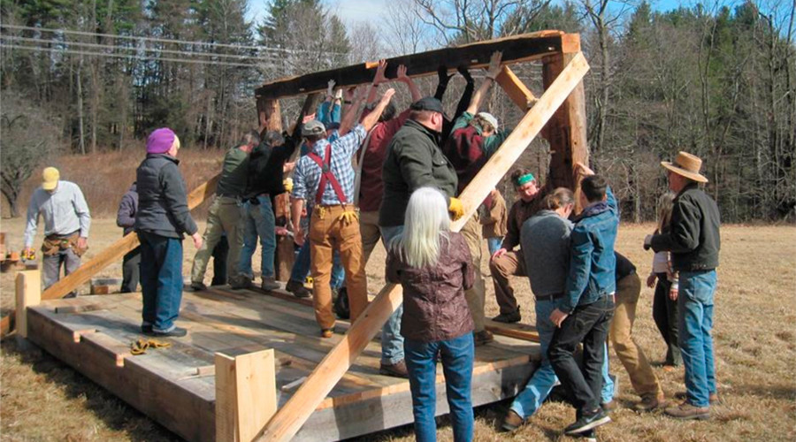 Walden pond cabin built for Thoreau-inspired fracking pipeline protest