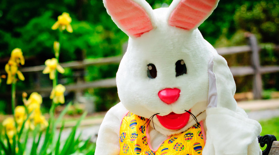 Enraged Easter Bunny throws punches in New Jersey mall melee (VIDEO)