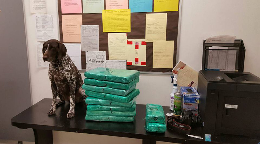 Flight attendant ditches 70lbs of cocaine, Gucci shoes to avoid TSA search