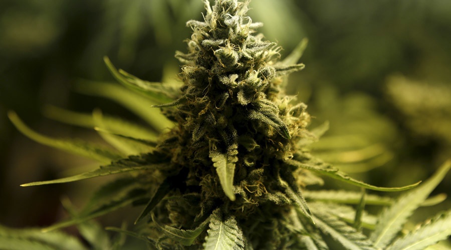 Weed tube: Police raids 400-yard cross-border drug tunnel from Mexico to California