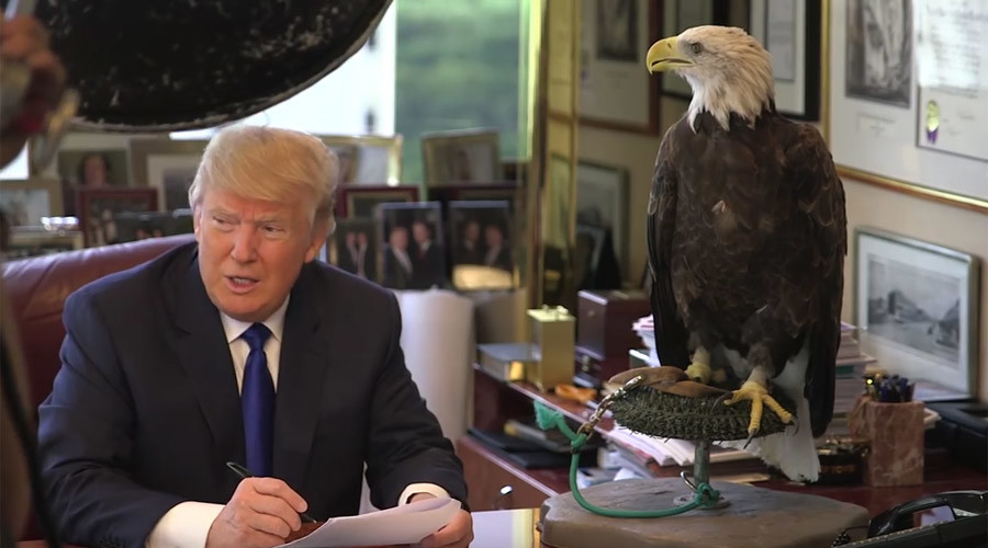 Winging it? Trump sued for using ‘iconic’ bald eagle photo without permission
