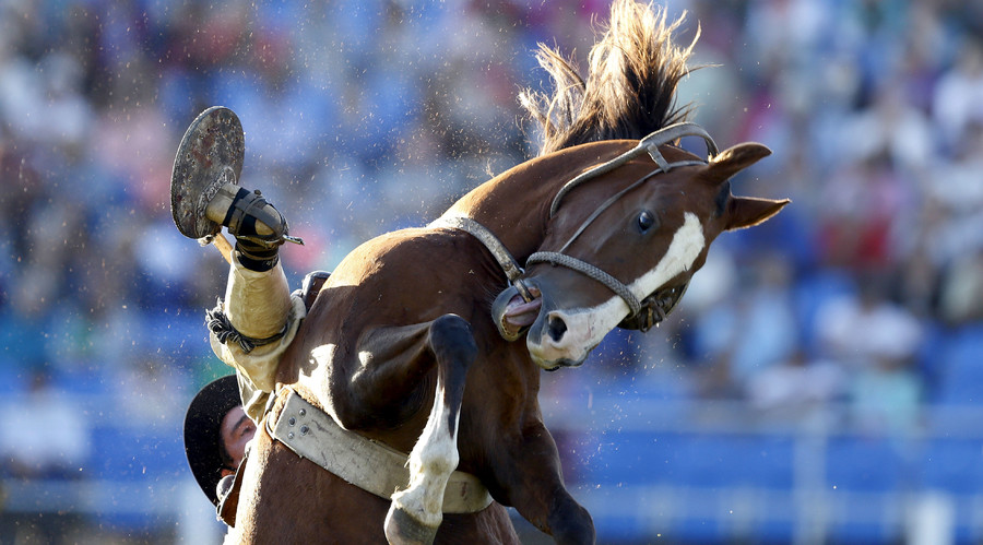 Riders must put diapers on horses or be ticketed in Alabama town