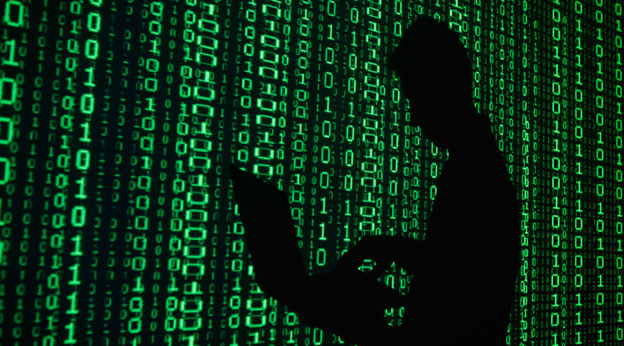 ‘Privacy is not a privilege, it’s a fundamental human right,’ top privacy expert tells RT