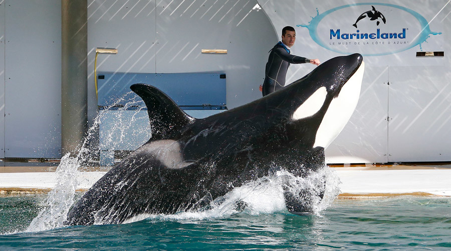 French marine park sued by activists over multiple animal deaths