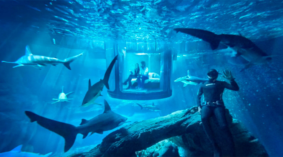 World’s first underwater Airbnb lets visitors sleep with sharks (VIDEO)