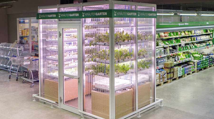 Berlin gets first taste of in-store vertical micro-farms