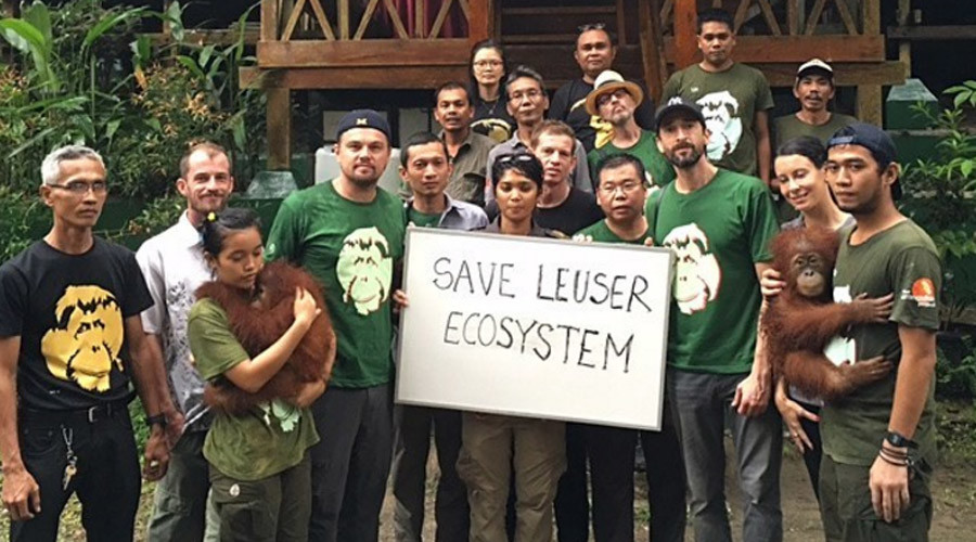 Indonesia v DiCaprio: Actor facing ban after ‘provocative statements’ about palm oil