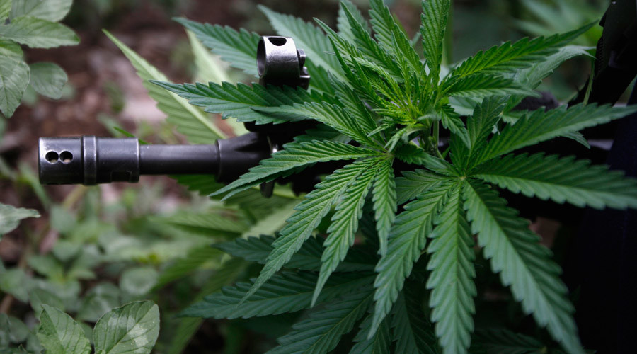 Guns & ganja: Alaska asks DoJ to revise regulations for users of guns & medical marijuana