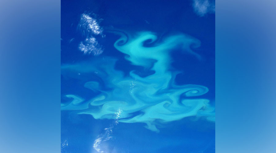Astronaut Peake snaps monster Patagonian plankton bloom from space (PHOTO)