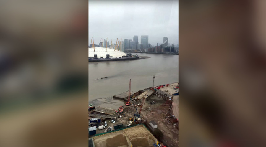 Thames Monster? ‘Nessie’ speculation rife as mysterious creature spotted in London (VIDEO, POLL)