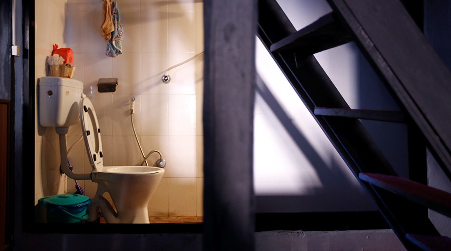 Feeling flush? Then you’ll go potty for £3,000-a-month London toilet