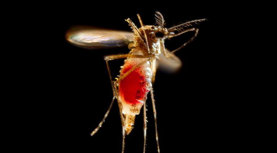Zika ‘scarier than thought’: Top US officials push govt for $1.9bn emergency funding