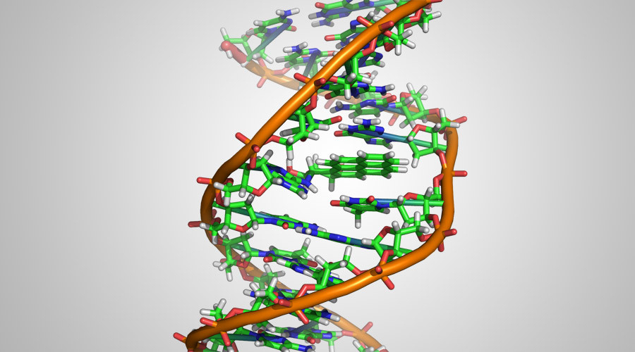 Superhero DNA? Study finds individuals immune to ‘severe diseases’