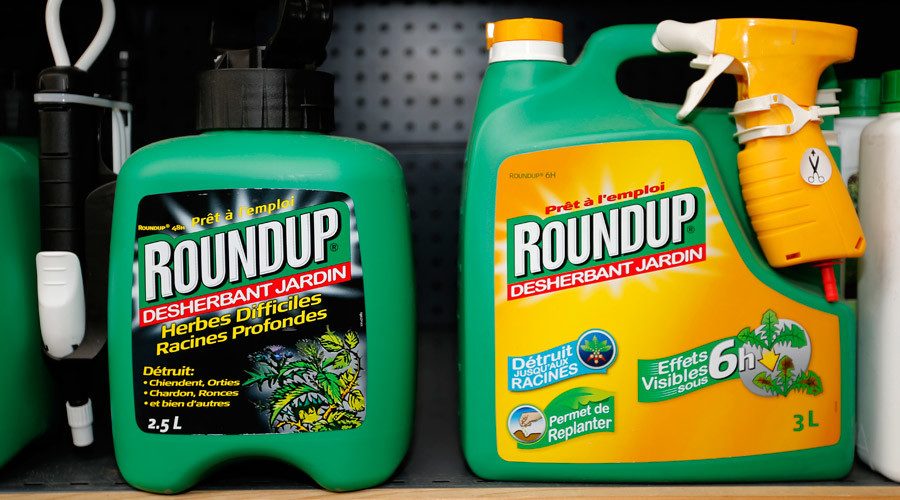 EU parliament votes to re-approve glyphosate despite ‘concerns about carcinogenicity’