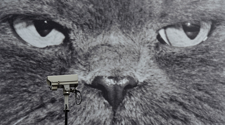 Brits blindly walking into Orwellian surveillance state, survey suggests
