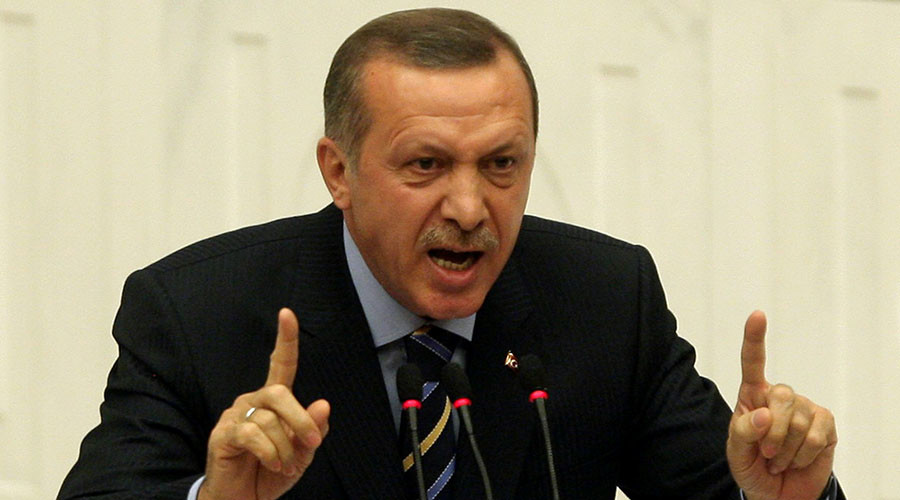 ‘Journalism in coma, Erdogan controls everything’: Gulenist freedoms advocate on Ankara’s policies
