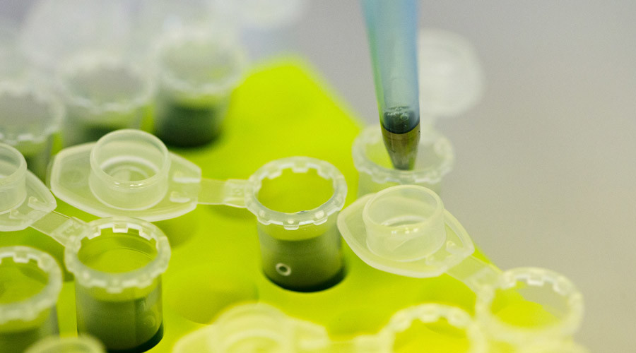 Japanese scientists given green light to modify fertilized human eggs