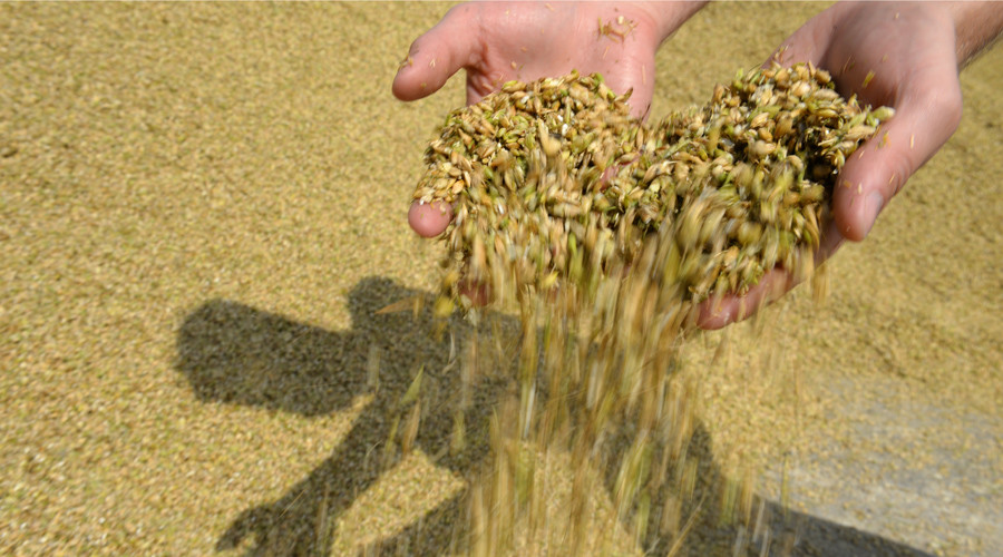 China to import more Russian wheat