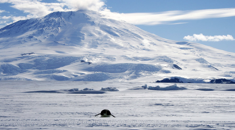 Cool as ice: Newly-discovered lake in Antarctica may hold prehistoric life