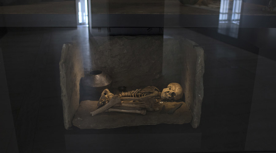 Single Bronze Age 'king' responsible for half of western European men