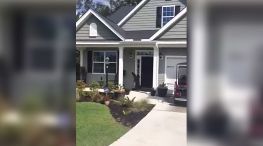See you later: Gator caught trying to ring doorbell (VIDEO)