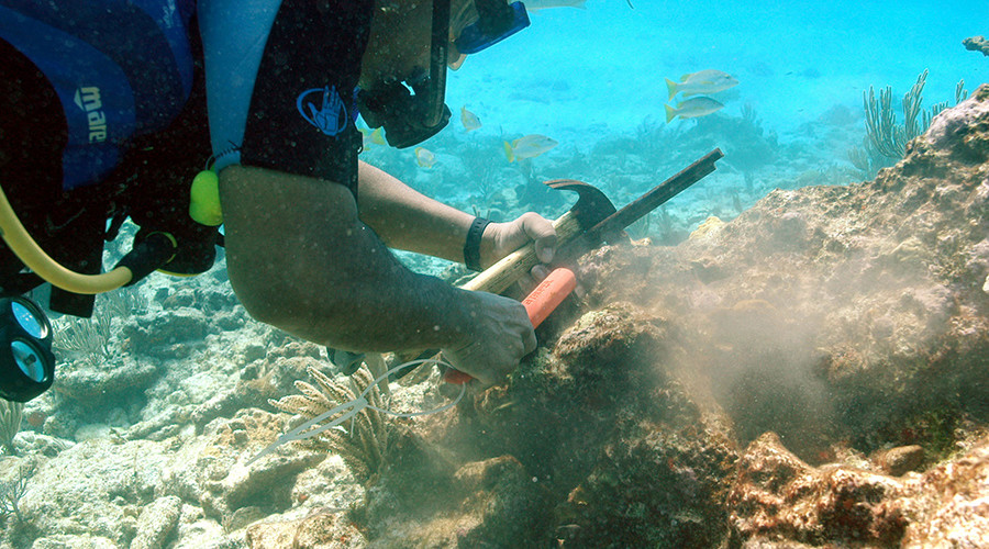 New artifacts suggest first humans colonized southeastern US 1,500yrs earlier than thought