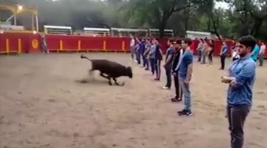 Teacher ‘experiments’ by releasing bull into arena full of students (VIDEO)