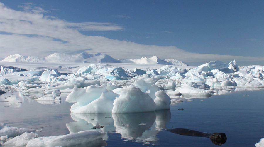 Antarctic melting: Coastal cities 'will have 2-3 meter-high sea defenses by end of century'