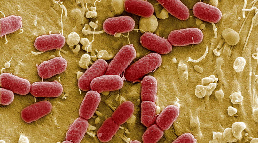 ‘Antibiotic apocalypse’: Drug resistance to kill 10mn in EU & US by 2050, study warns