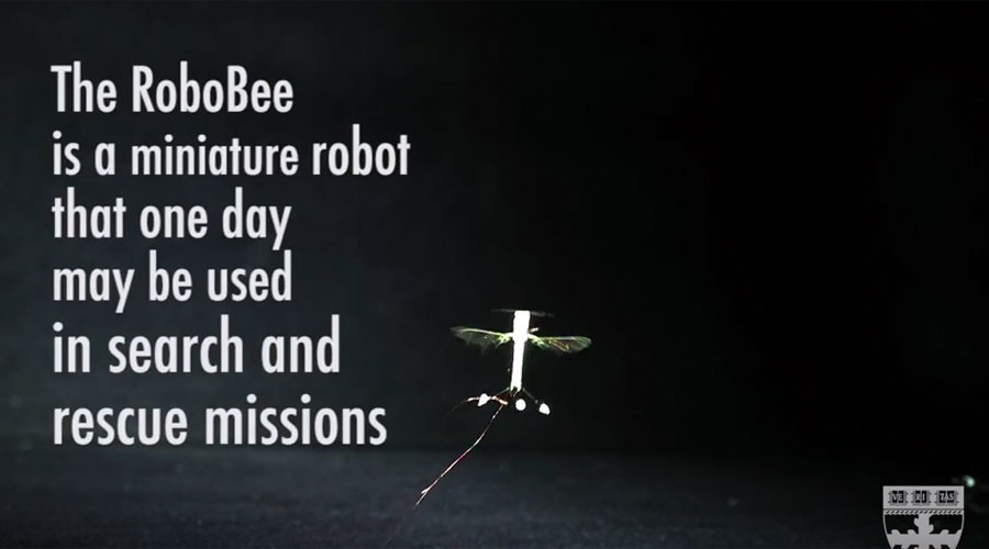 © Harvard John A. Paulson School of Engineering and Applied Sciences