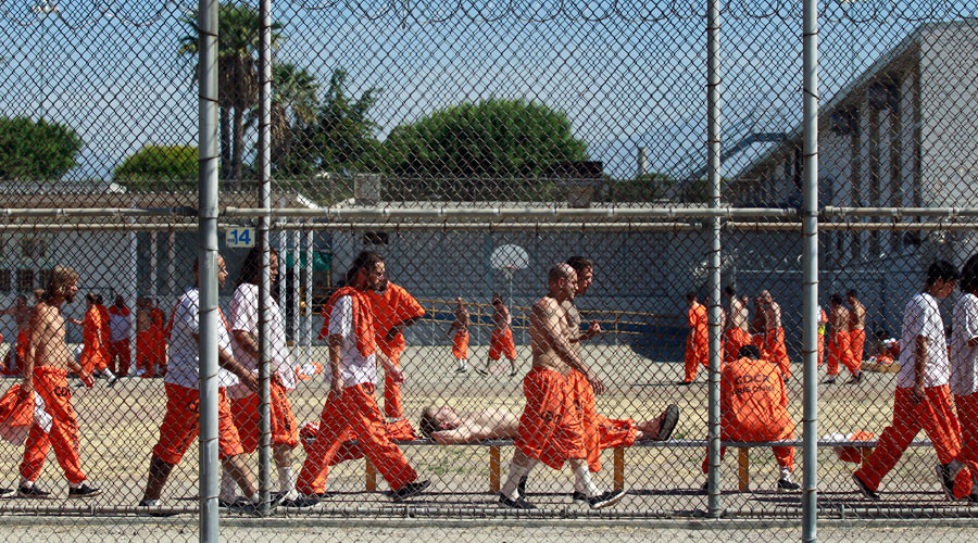 US is ‘under-incarcerated,’ should lock more people up – GOP senator