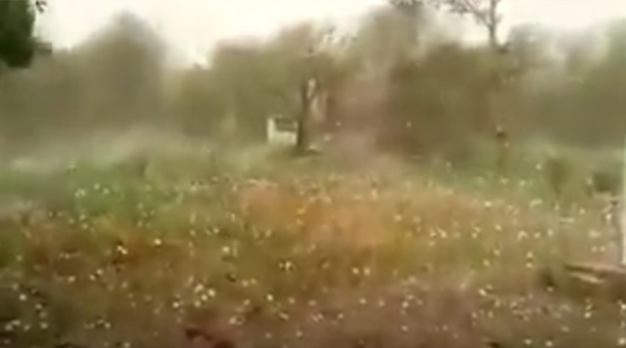 Jumbo-sized hailstones batter buildings in freak storm (VIDEO)
