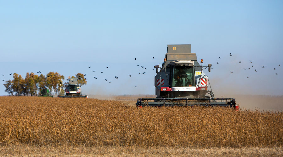 Russian Far East region allocates half million hectares for free land handover program