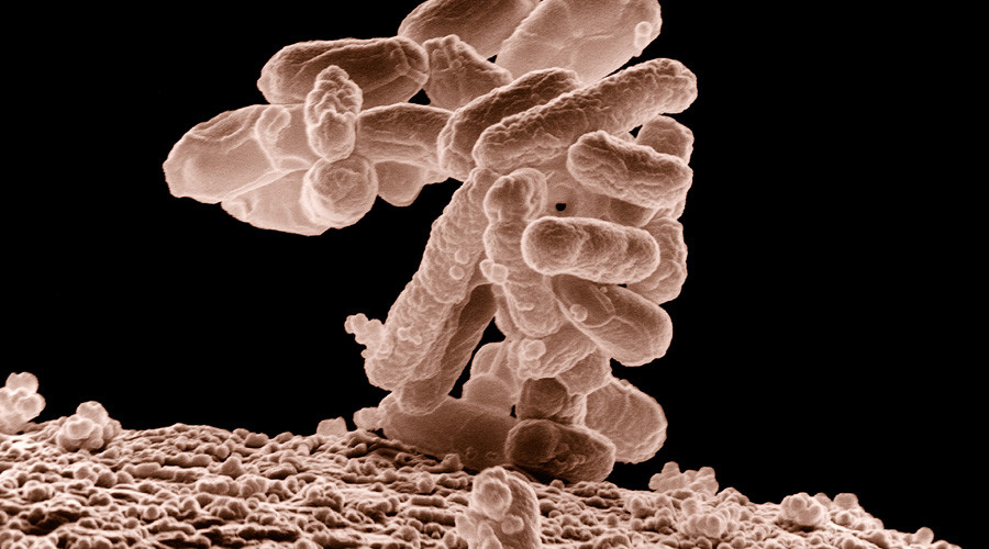 Antibiotic-resistant ‘superbug’ reaches the US for the first time, sets root in Penn.