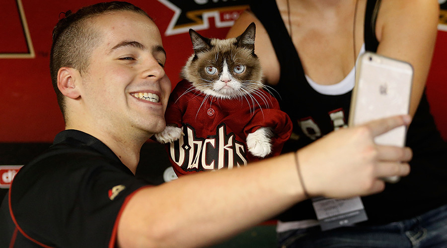 Saudi cleric issues ‘catwa’ and bans taking selfies with cats