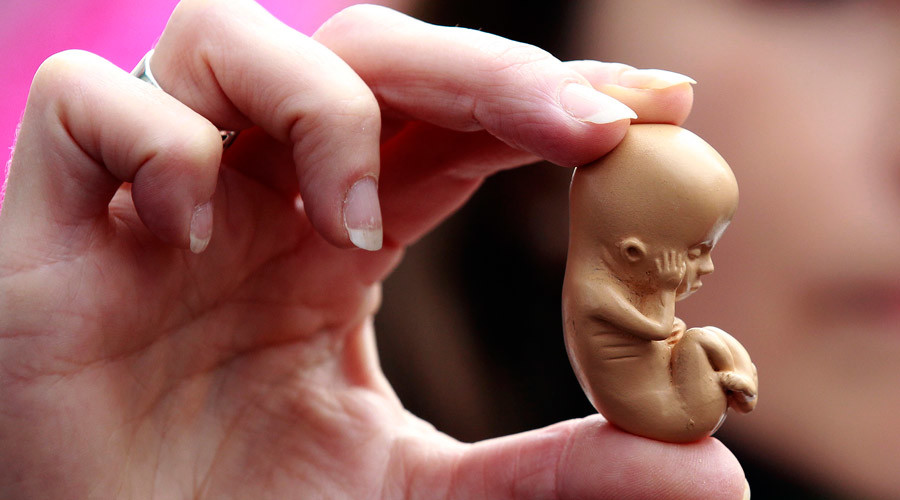 Netherlands to grow human embryos for research