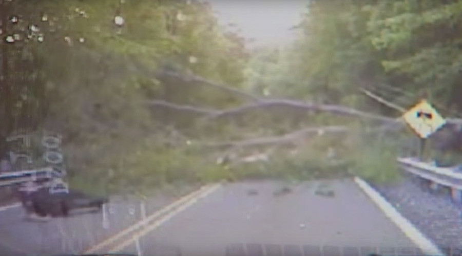 New branch of terror: Police officer downed by fallen tree (VIDEO)