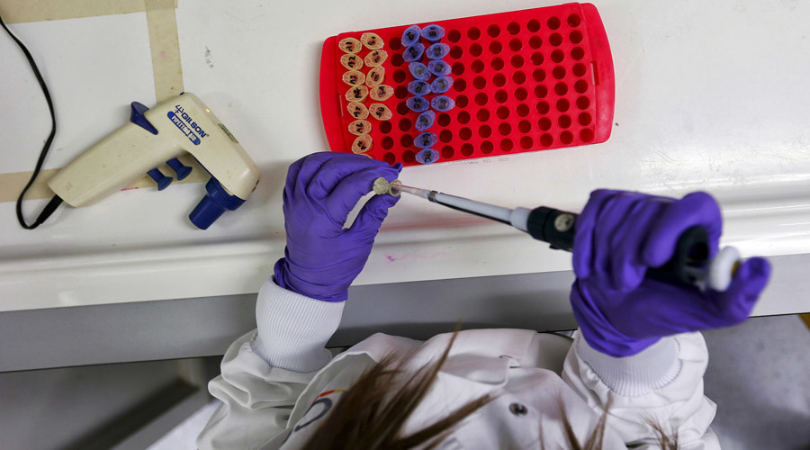 All scientific papers will be accessible for free by 2020, EU announces