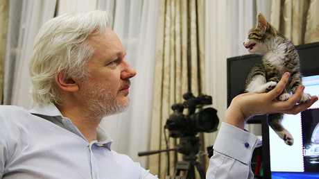 WikiLeaks founder Julian Assange holds up his new kitten at the Ecuadorian Embassy in central London, Britain, in this undated photograph released to Reuters on May 9, 2016. © WikiLeaks
