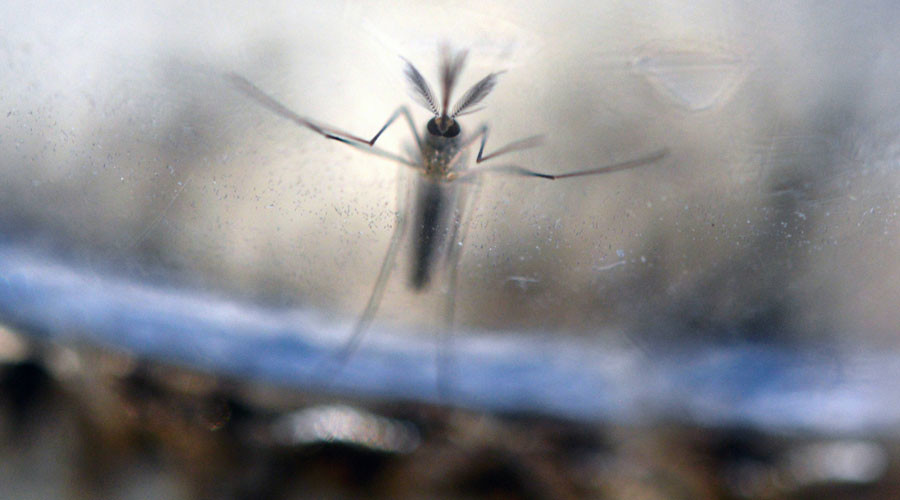 Zika virus may be transmitted by oral sex & kissing, doctors warn