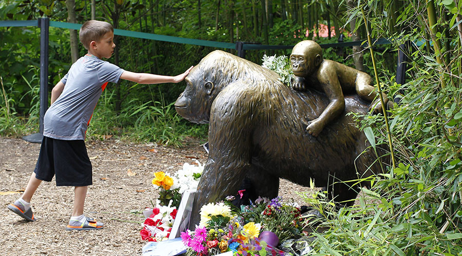 Cincinnati Zoo reopens gorilla enclosure with taller barrier (PHOTOS)