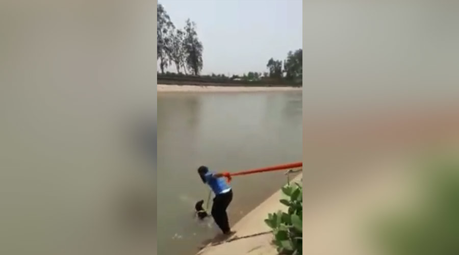 Sikh hero breaches ‘turban protocol’ to save drowning dog (VIDEO)