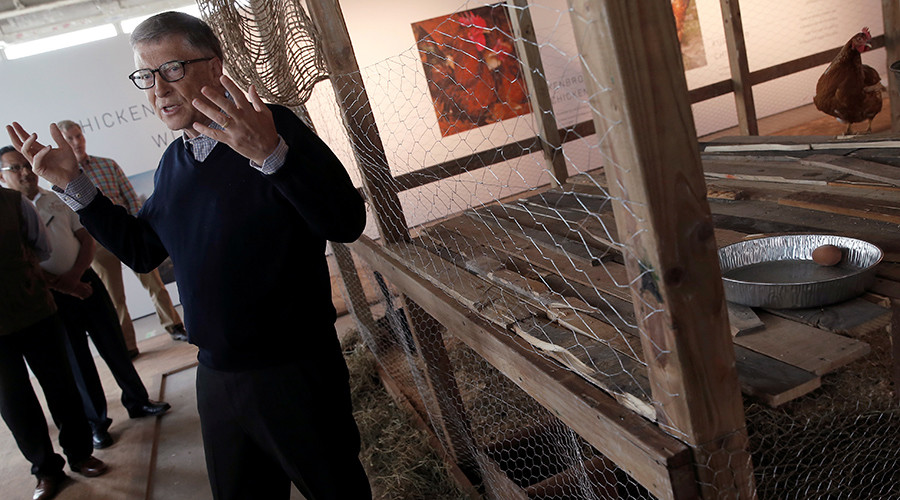 Bill Gates plans to end poverty one chicken at a time (VIDEO)