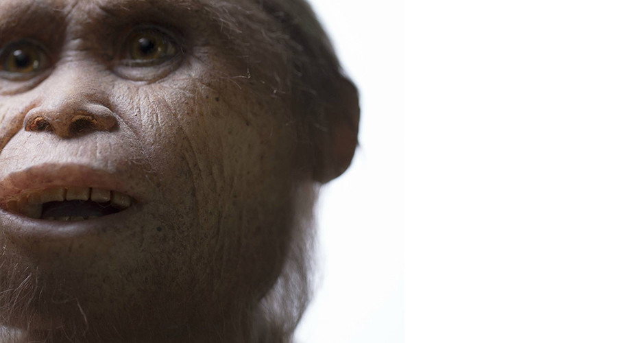 700,000-yr-old ‘hobbit’ fossils found on Indonesian island (PHOTOS)