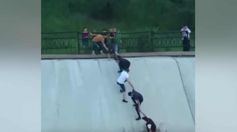 Pup-op: Human chain saves dog from water trap (VIDEO)