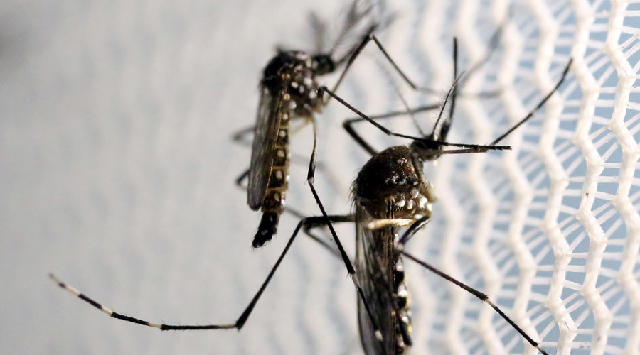 6 Zika-related pregnancies in US, half carried to term with birth defects