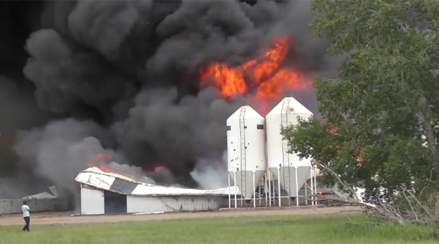 5,000 pigs burn alive in Saskatchewan barn fire (VIDEO)