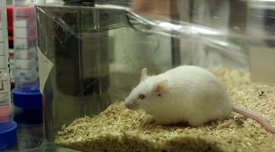 1st 'true' anti-aging drug seeks human subjects