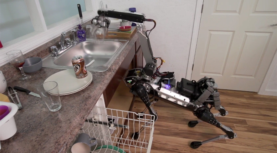 ‘Doggie droid’ does dishes, climbs stairs - but don’t ask it for a drink (VIDEO)