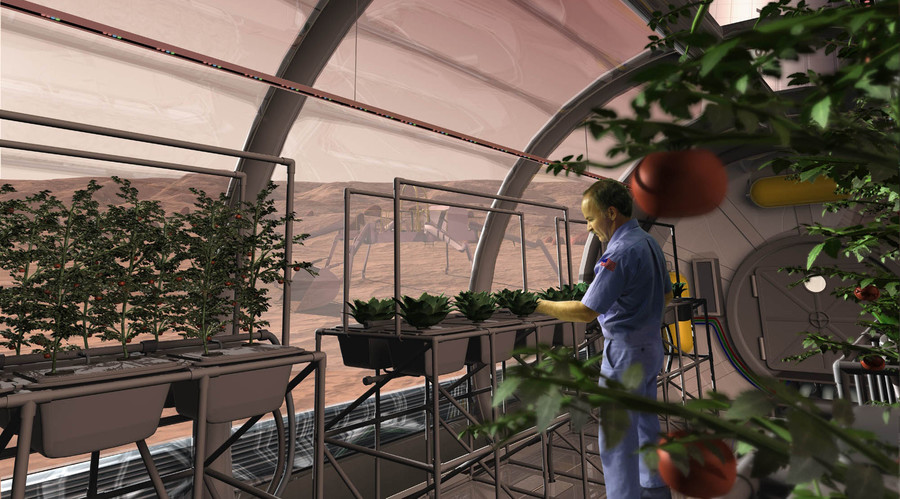 Vegetables harvested on Mars-like soil safe for humans – Dutch scientists